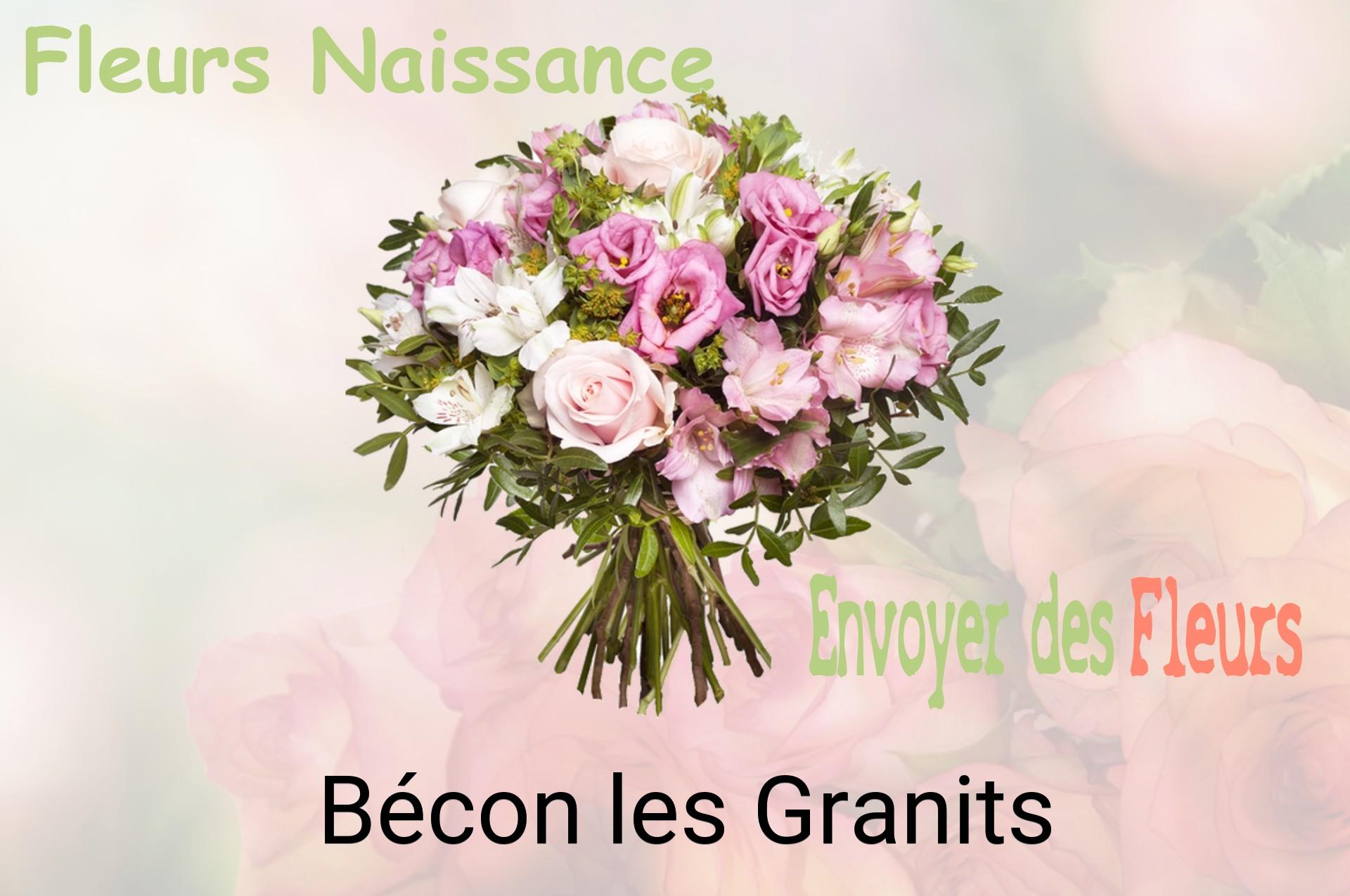 Bouquet de fleurs de naissance livré à Bécon-les-Granits